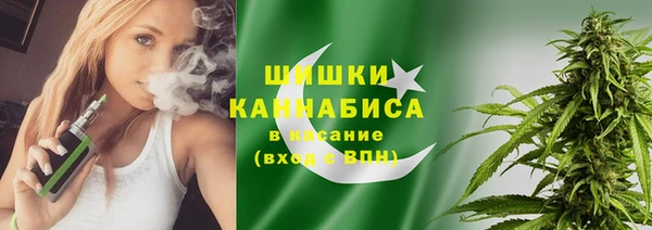 мдпв Елабуга