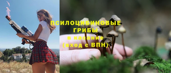 мдпв Елабуга