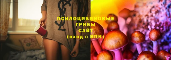 мдпв Елабуга