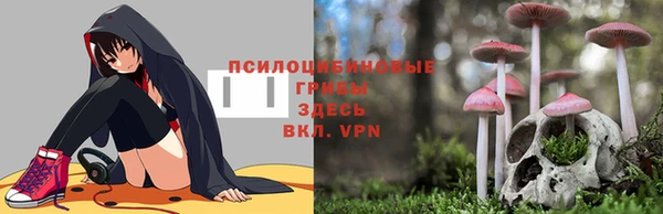 наркотики Елизово