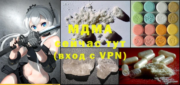 мдпв Елабуга