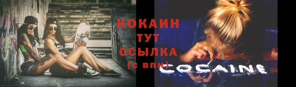 мдпв Елабуга