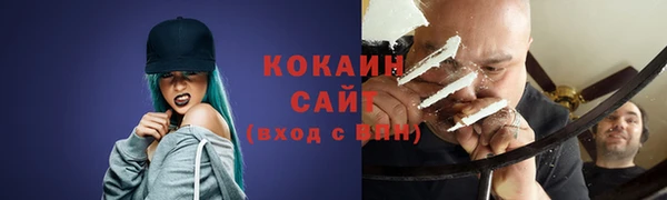 мдпв Елабуга