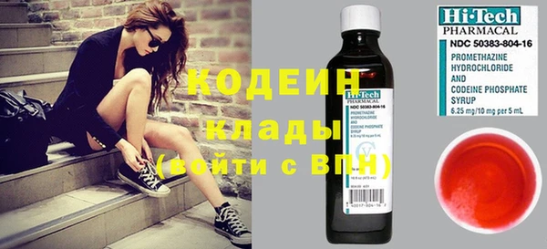 мдпв Елабуга