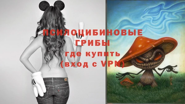 альфа пвп Заводоуковск